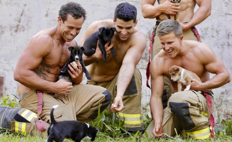 The 2019 Australian Firefighters 'Animal Calendar' – Socialite Life