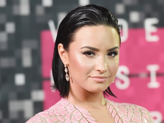 Demi Lovato 2015 MTV Video Music Awards - Arrivals
