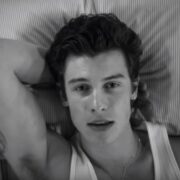 Shawn Mendes Brings on the Sexy for 'If I Can't Have You' Video