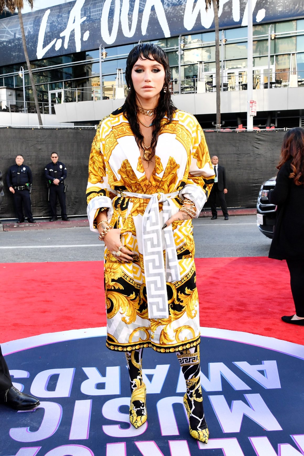 2019 American Music Awards - Red Carpet