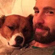 Chris Evans Gives His Dog a Disastrous Haircut During Quarantine