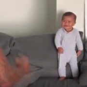 The Five — Baby Haka Dance, Basketball Dog, a Little Hero, a Baby Seal, and Not a Llama