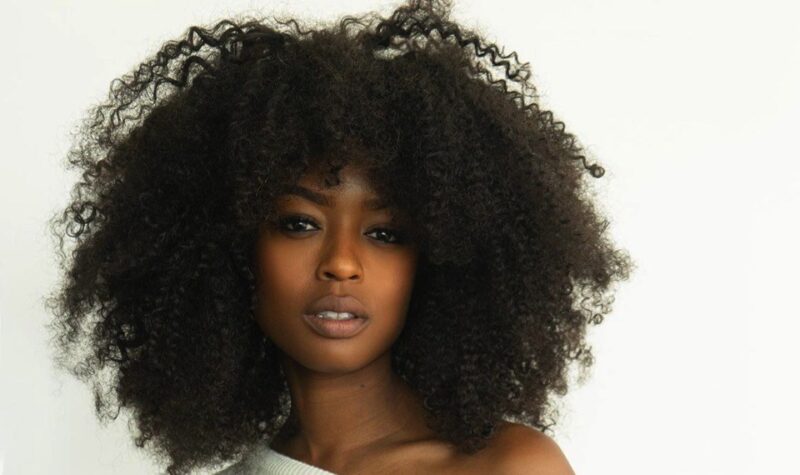 Javicia Leslie – Socialite Life