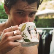 Shawn Mendes, Ludi Lin, Luke Evans, and more Insta Snaps
