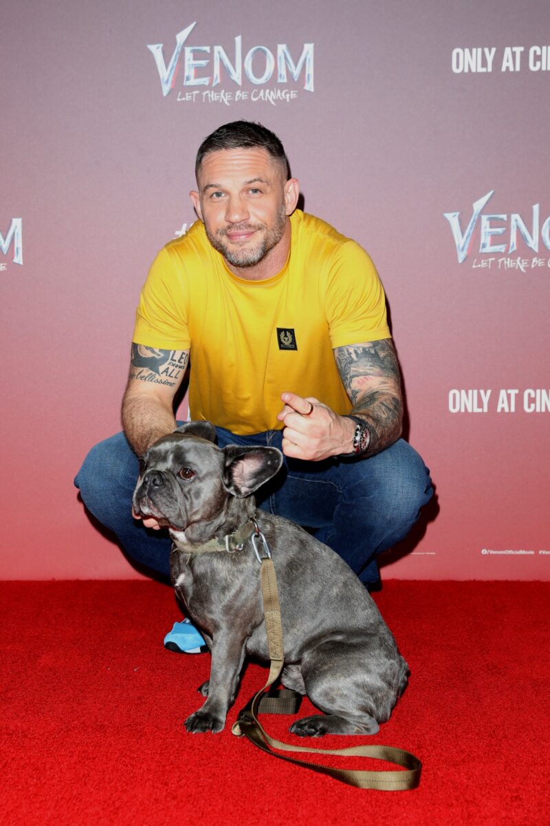Tom Hardy and his dog Blue hit the Venom 2 red carpet in London