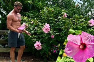 Ryan Phillippe