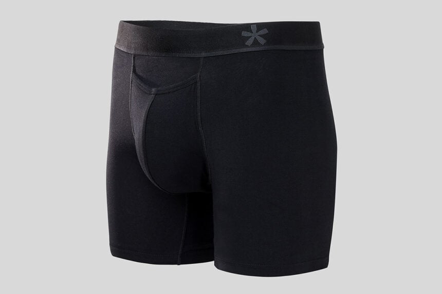 Manmade boxer