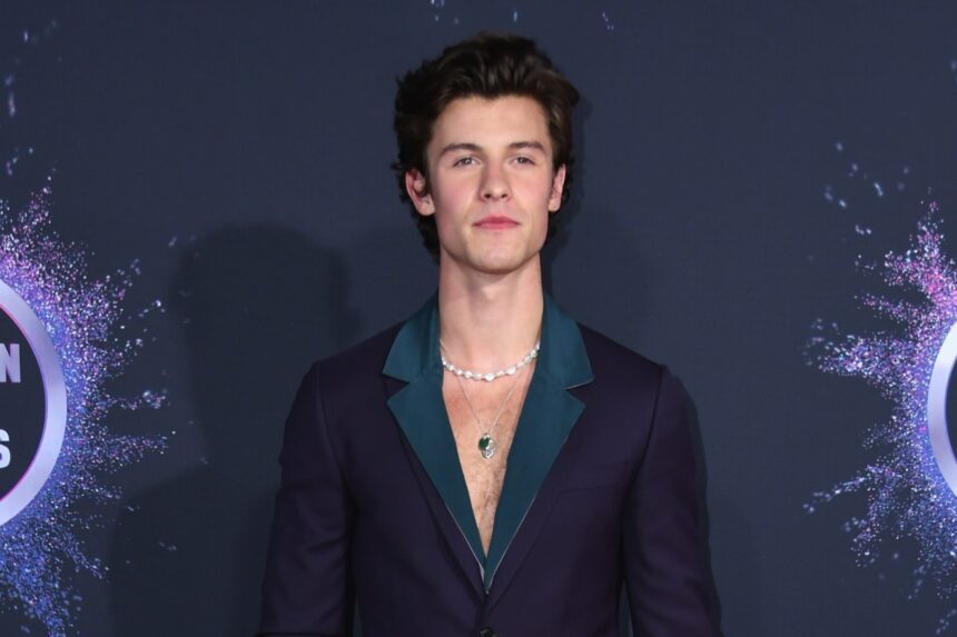 2019 American Music Awards - Arrivals