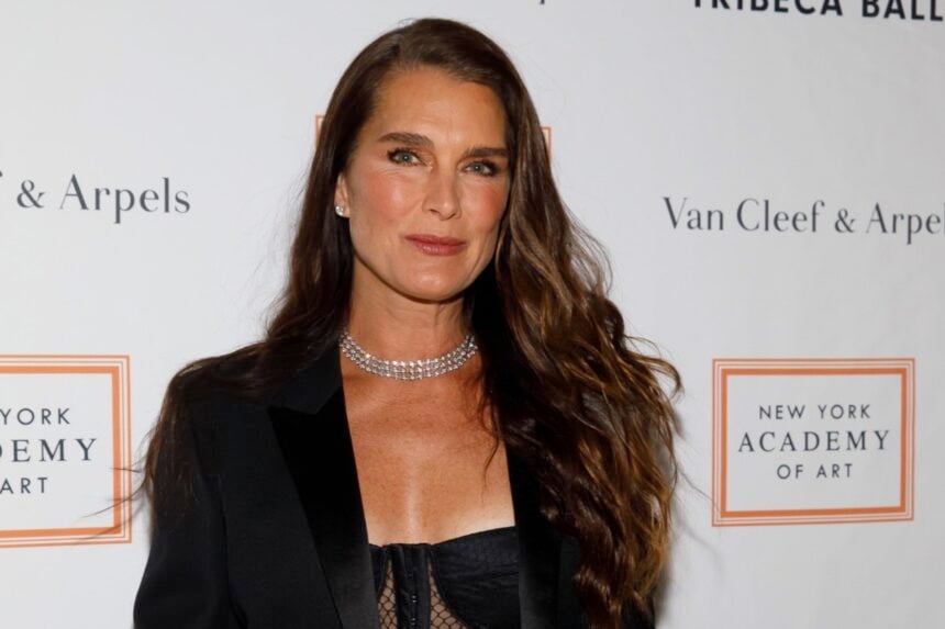 Brooke Shields at arrivals for New York Academy of Art's Tribeca Ball Presented by Van Cleef & Arpels, New York Academy of Art, 111 Franklin Street, New York, NY April 3, 2017. Photo By: Jason Smith/Everett Collection