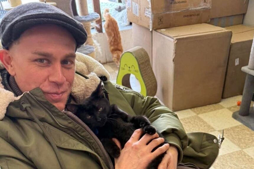 Charlie Hunnam adopts kittens from River Valley Animal Rescue