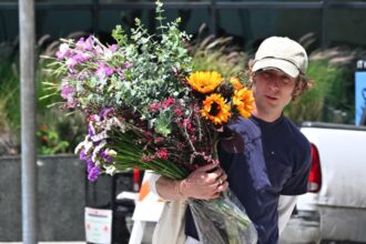 Jeremy Allen White spotted at a farmers market in Los Angeles