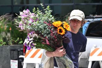Jeremy Allen White spotted at a farmers market in Los Angeles