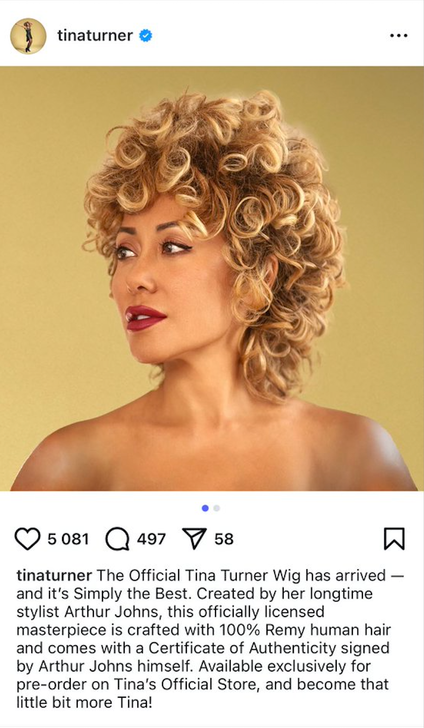 Tina Turner wig