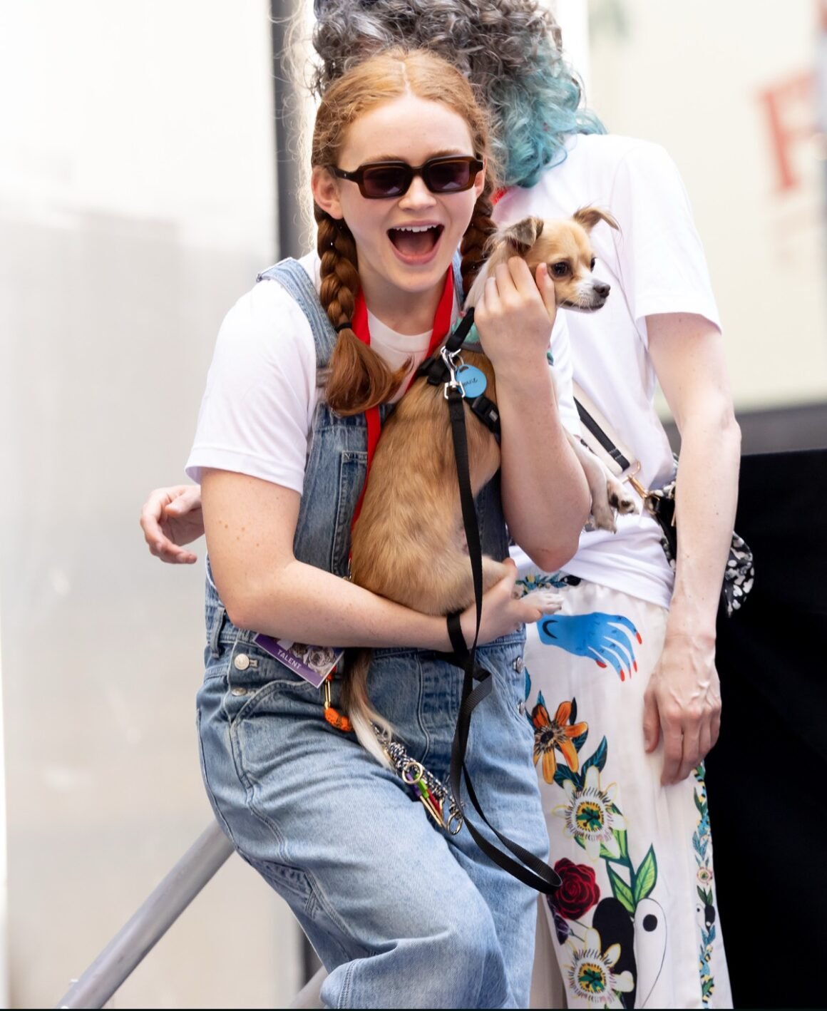 27th Annual Broadway Barks Dog And Cat Adoption Event