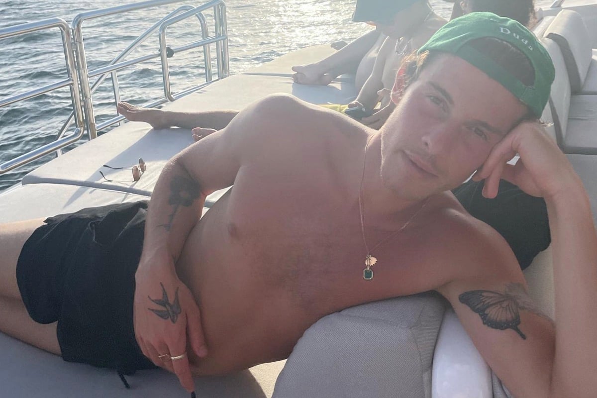 Shawn Mendes: Celebrity Instahottie