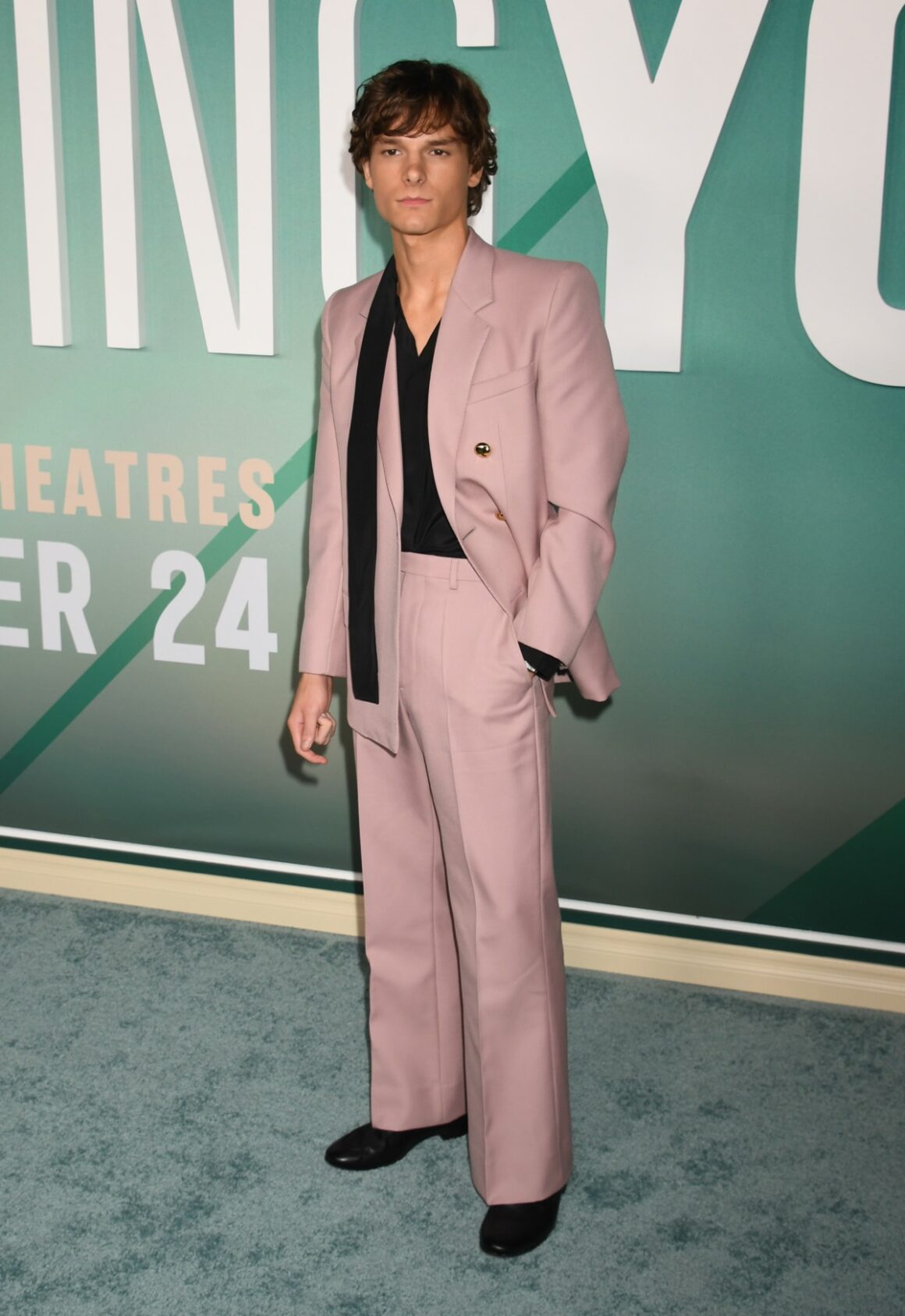 Los Angeles premiere of 'Regretting You'