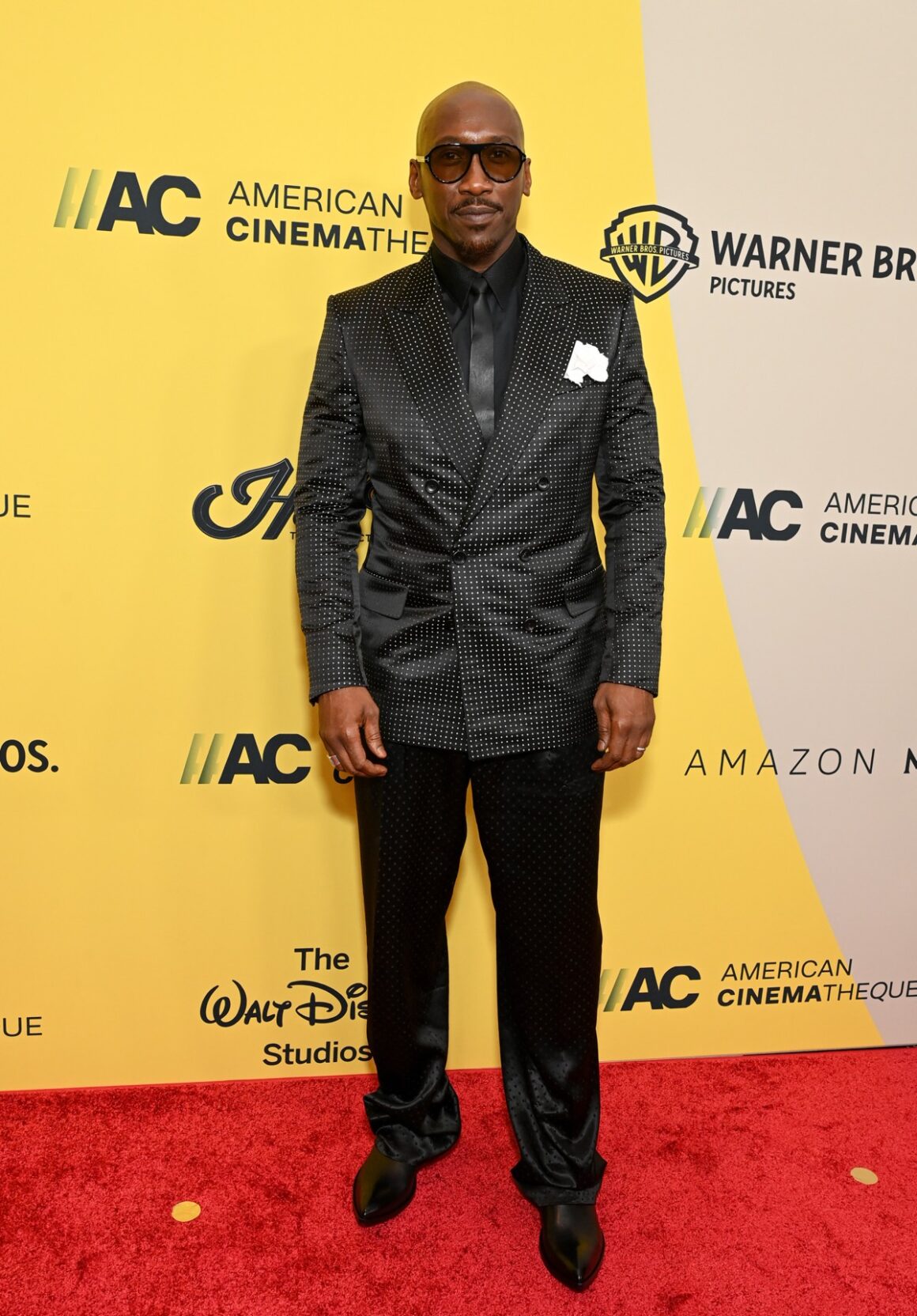39th Annual American Cinematheque Awards