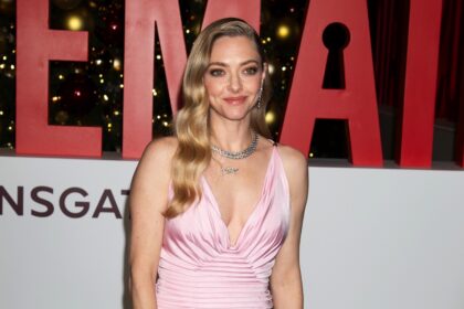 New York premiere of 'The Housemaid'