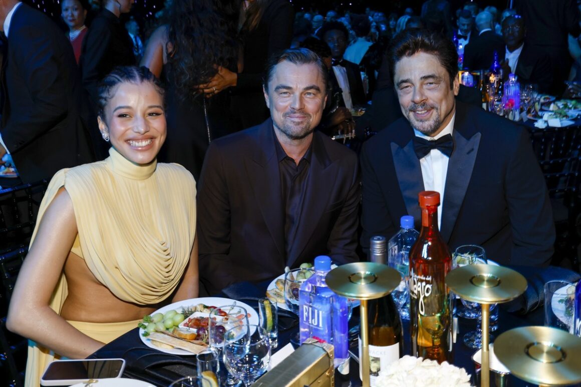 31st Annual Critics Choice Awards - Show