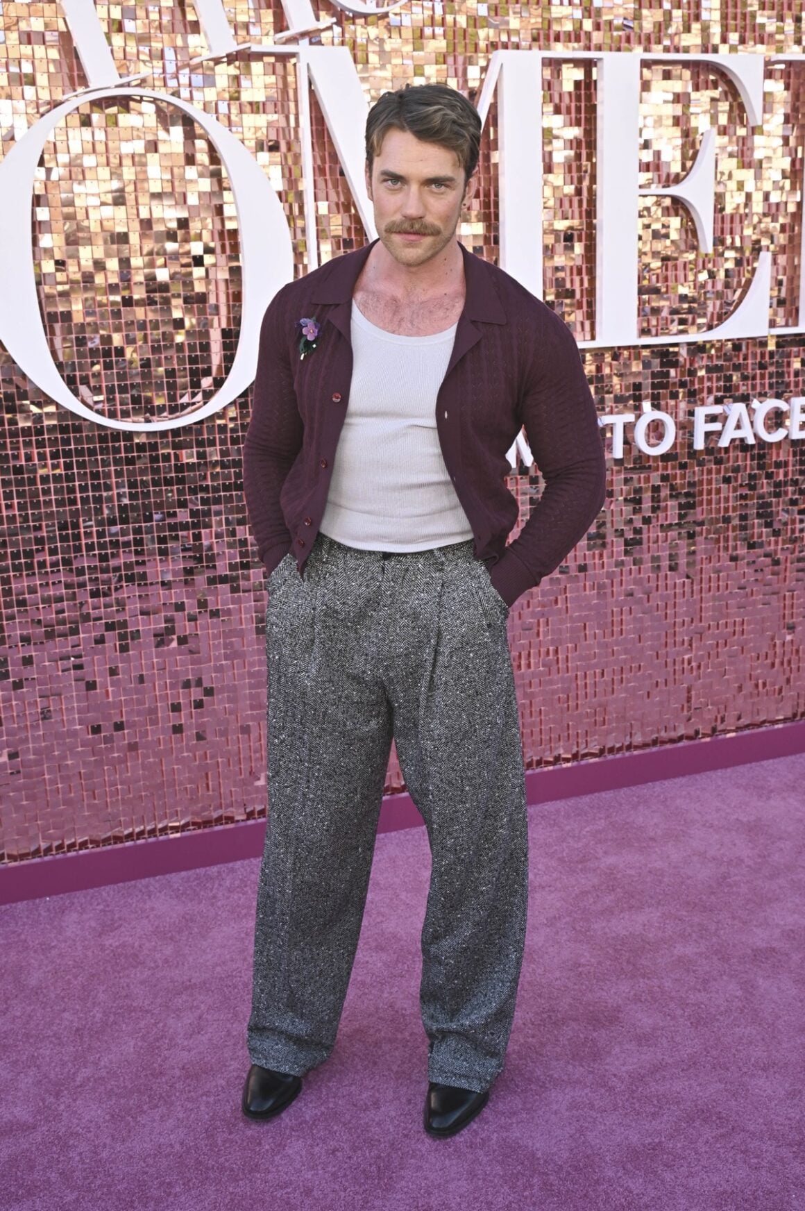 Los Angeles Premiere Of 'The Comeback'