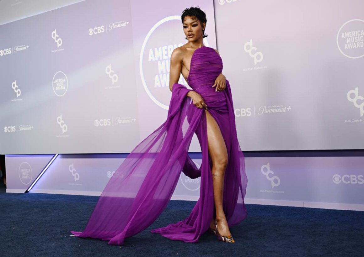The 52nd American Music Awards - Arrivals