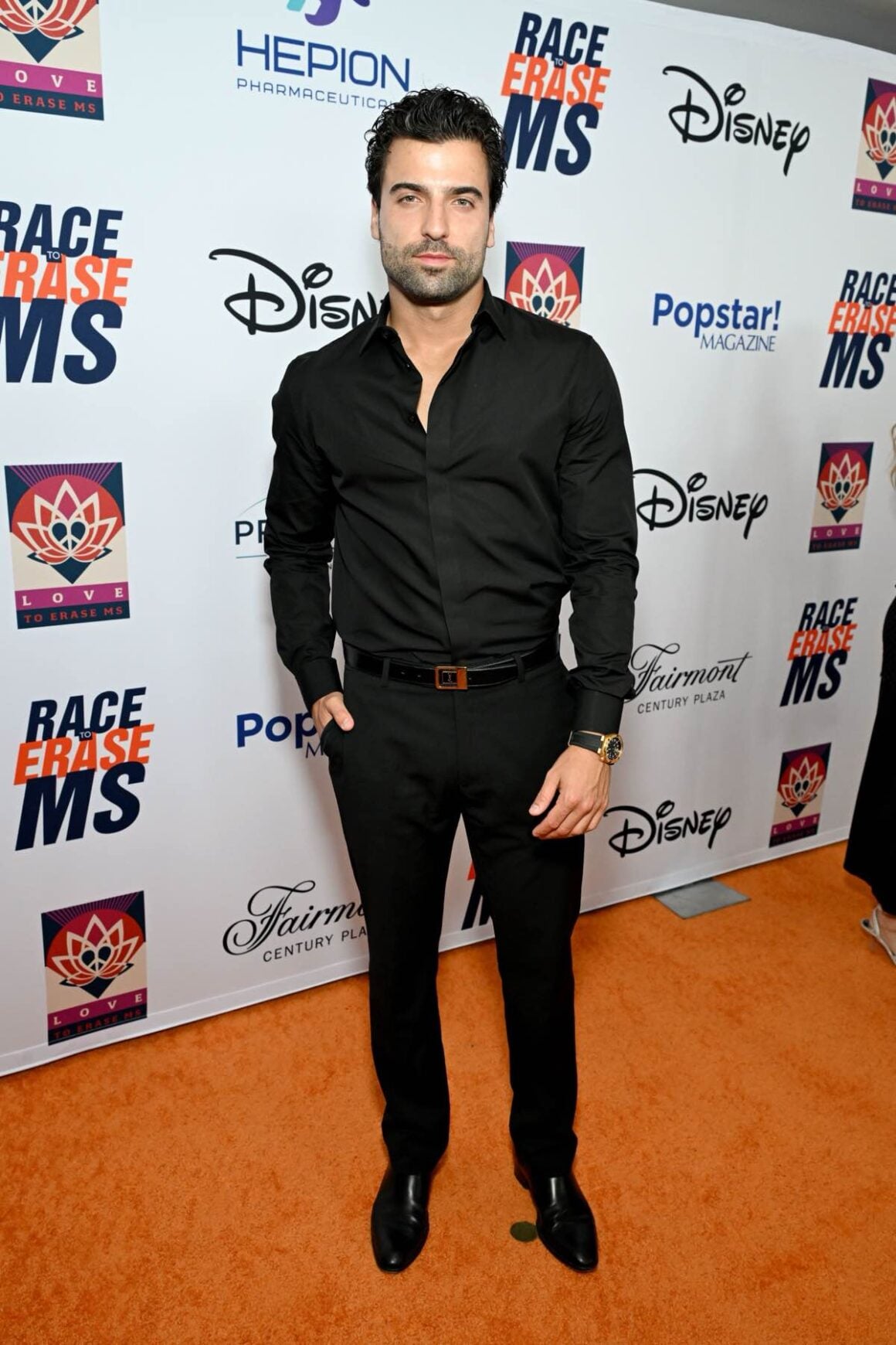 33rd Annual Race To Erase MS Gala - Red Carpet