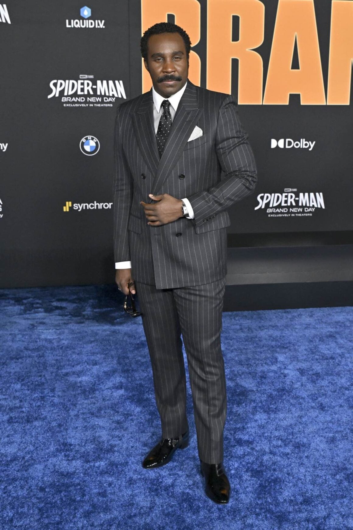 Los Angeles Premiere Of 'Spider-Man: Brand New Day'
