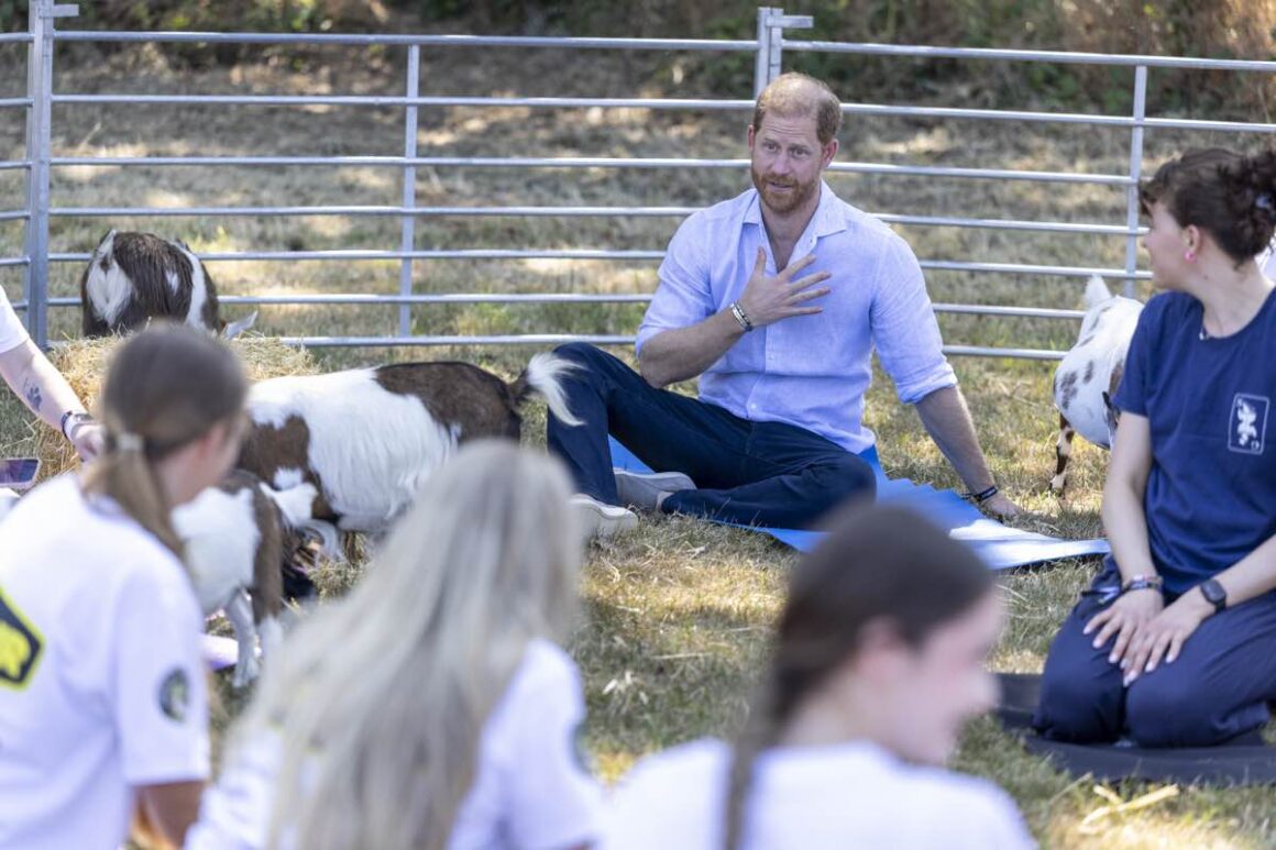 Goat Yoga Gone Wrong: Prince Harry Takes a Hoof to the Groin in Warwickshire 3 Prince Harry Attends Scotty's Summer Festival
