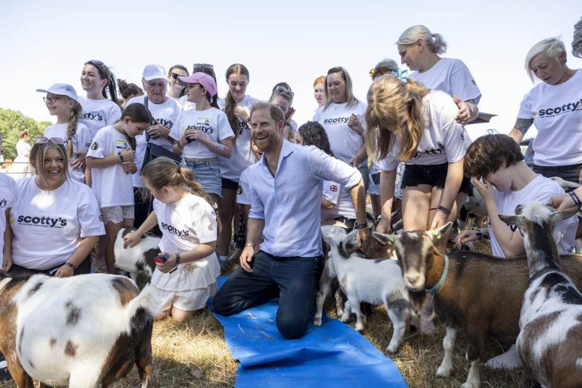 Goat Yoga Gone Wrong: Prince Harry Takes a Hoof to the Groin in Warwickshire 4 Prince Harry Attends Scotty's Summer Festival