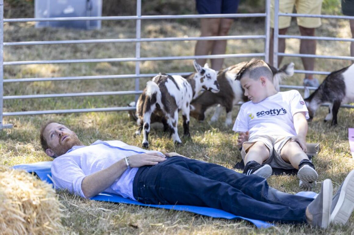 Goat Yoga Gone Wrong: Prince Harry Takes a Hoof to the Groin in Warwickshire 5 Prince Harry Attends Scotty's Summer Festival