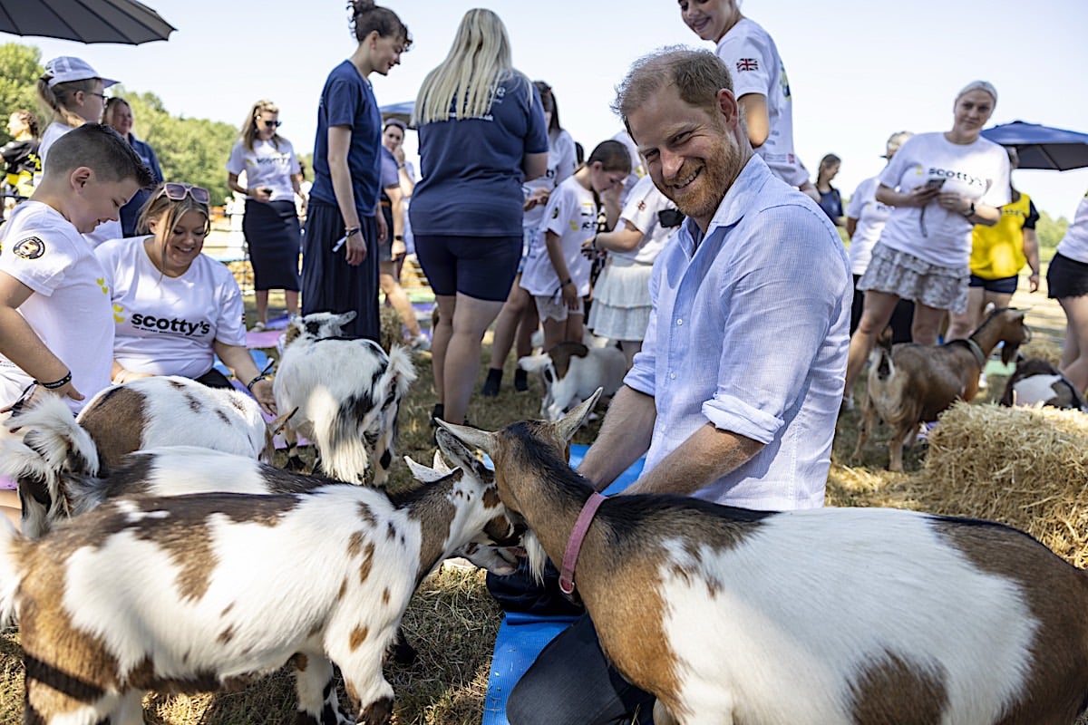 Goat Yoga Gone Wrong: Prince Harry Takes a Hoof to the Groin in Warwickshire