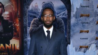 Premiere Of Sony Pictures' "Jumanji: The Next Level" - Arrivals Premiere Of Sony Pictures' "Jumanji: The Next Level" - Arrivals